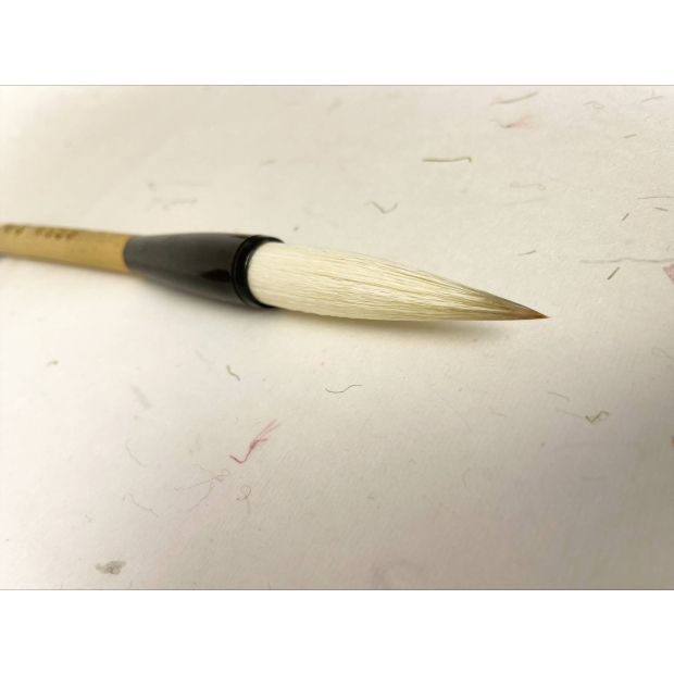 犀利1processed-3FD5EBFE-2648-4411-8825-982AB8A4BA7E.jpg